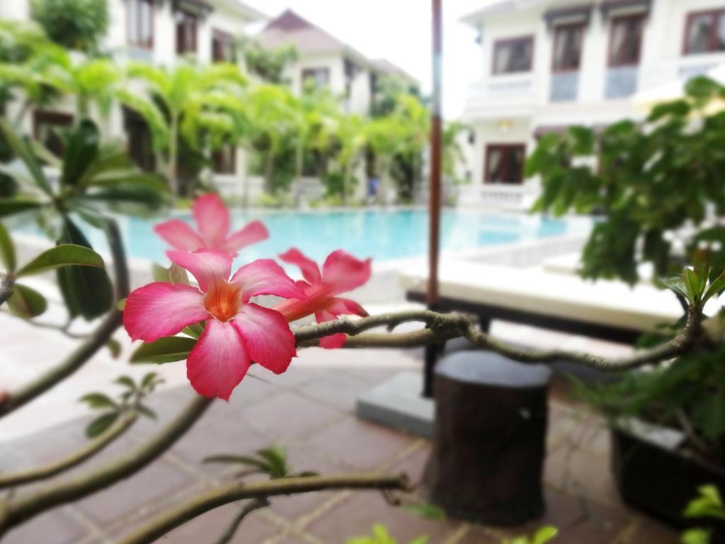 Hoi An Memority Villas & Spa Eksteriør bilde